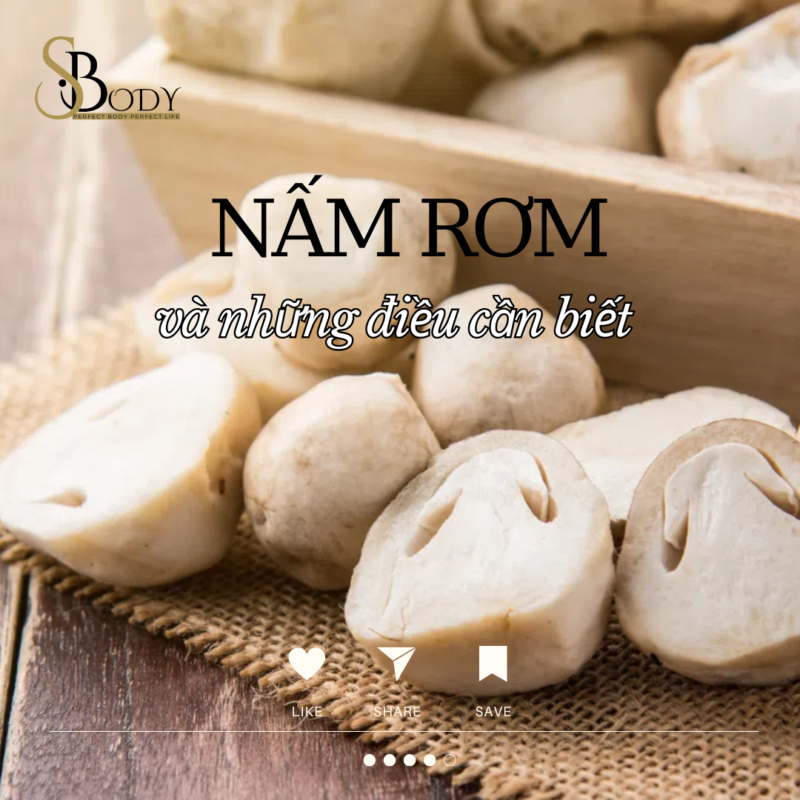 nấm rơm có tốt cho sức khoẻ sbody