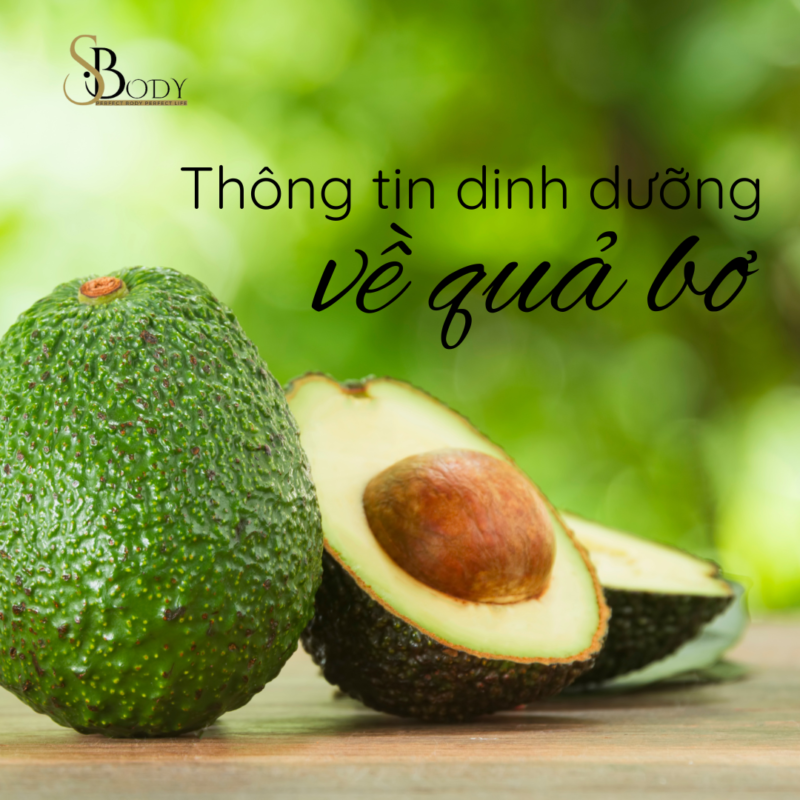 Thông tin dinh dưỡng về bơ cùng sbody