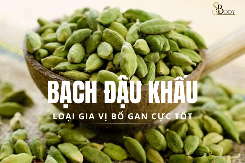 bạch đậu khấu sbody loại gia vị bổ gan cực tốt