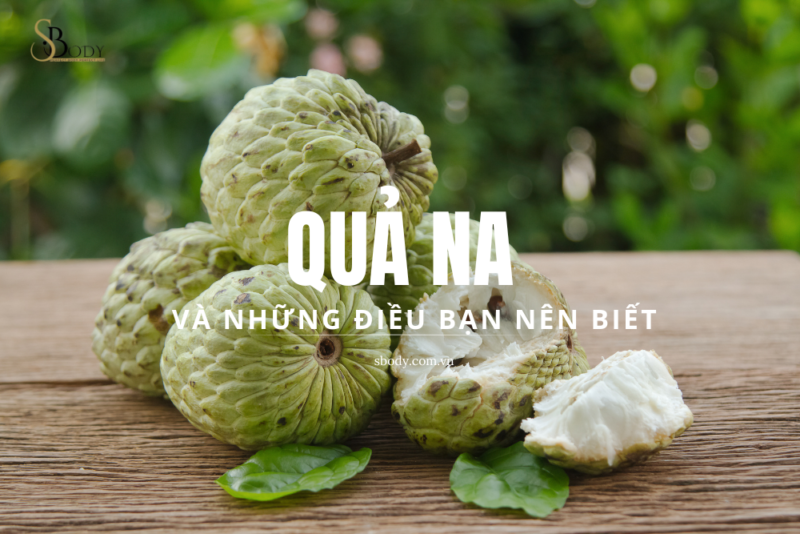 quả na và những thông tin bạn nên biết cùng sbody